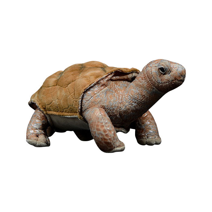 Galapagos tortoise simulation tortoise doll cute tortoise doll simulation animal plush toy