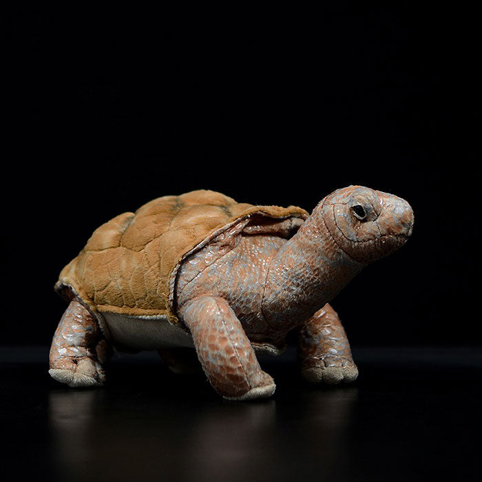 Galapagos tortoise simulation tortoise doll cute tortoise doll simulation animal plush toy