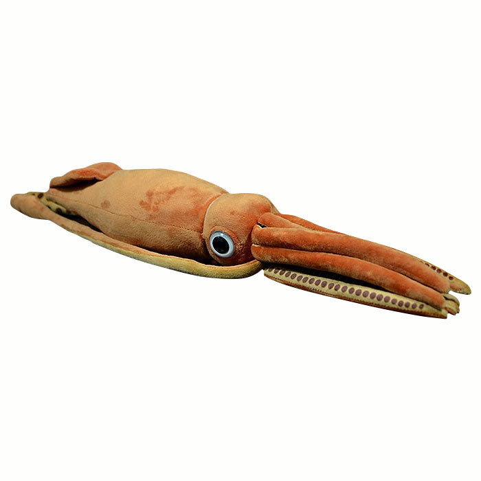 Lovely King squid doll simulation cuttlefish doll simulation animal plush toy model gift