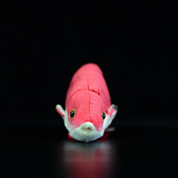 Cute tropical fish Cuban tricolor arowana doll simulation Cuban pig fish simulation animal plush toy