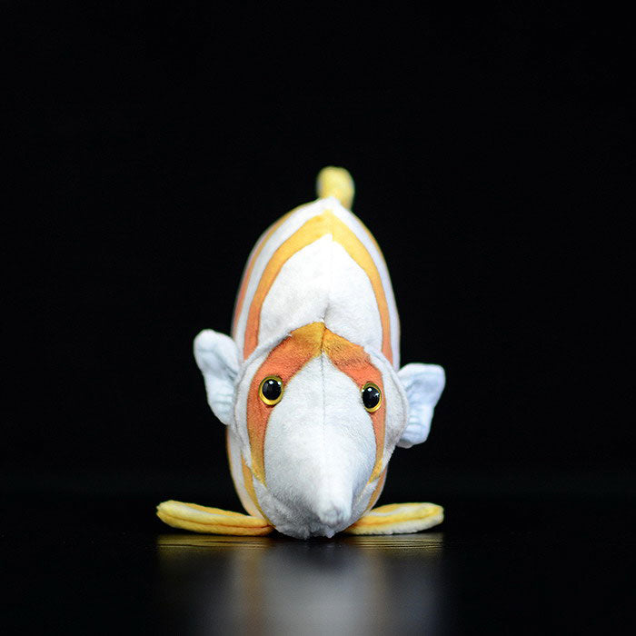 Cute tropical fish three rocket fish doll simulation copper belt butterfly fish simulation animal plush toy