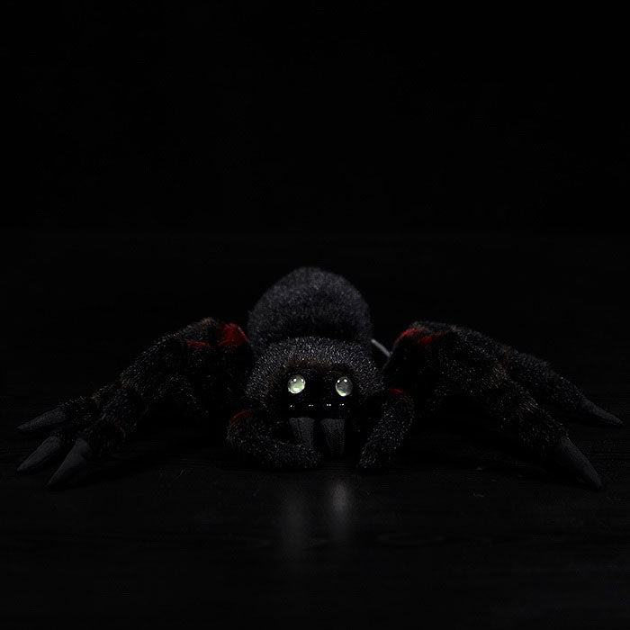 Simulated Mexican bird catching fire spider plush toy spider doll bird catching spider doll simulated animal model gift