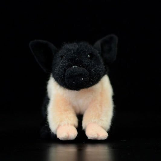 Super cute black pig cute little pig doll simulation pig simulation animal plush toy 20CM