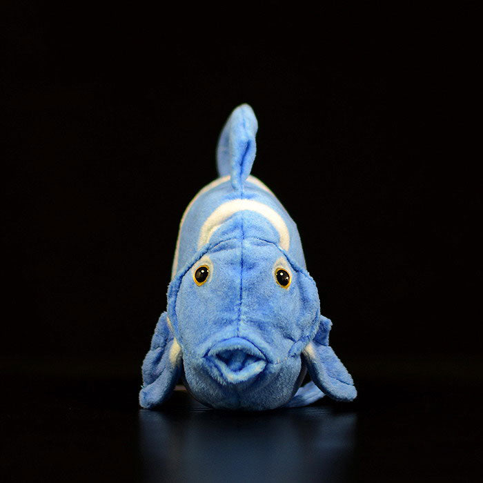 Cute tropical fish Atlantic blue hanging doll simulated blue thorn tail fish simulated animal plush toy