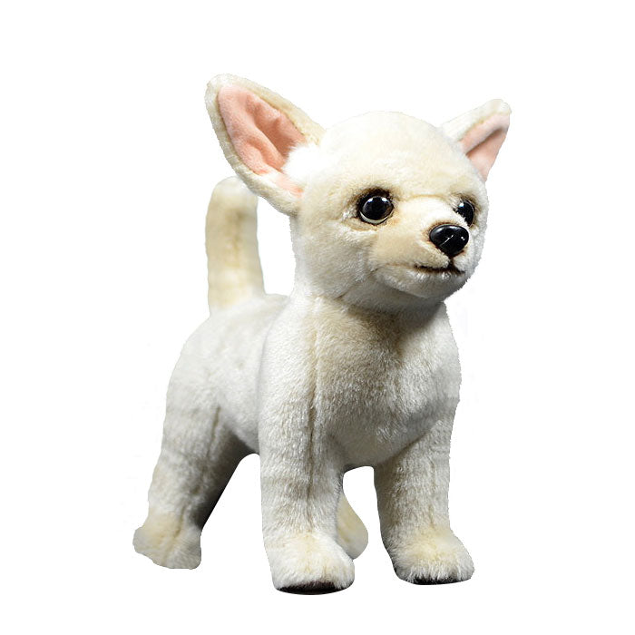 Simulated dog doll cute Chihuahua dog doll simulated animal plush toy model gift