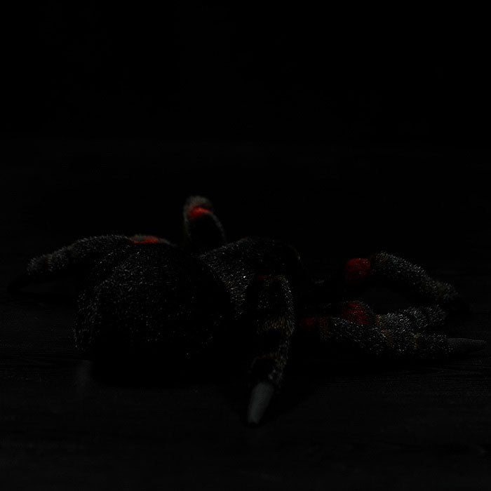 Simulated Mexican bird catching fire spider plush toy spider doll bird catching spider doll simulated animal model gift