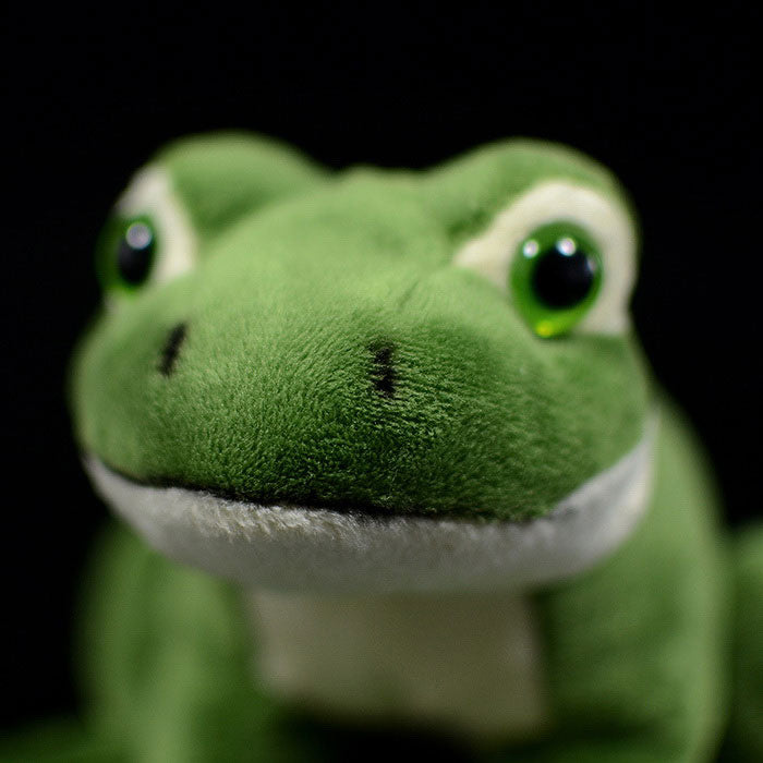 Cute frog plush toy simulated frog doll simulated animal doll birthday Christmas gift