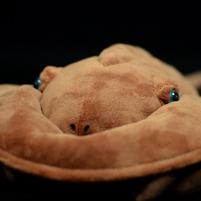 Lovely Chinese Horseshoe Crab doll simulated horseshoe crab doll simulated marine animal plush toy model gift