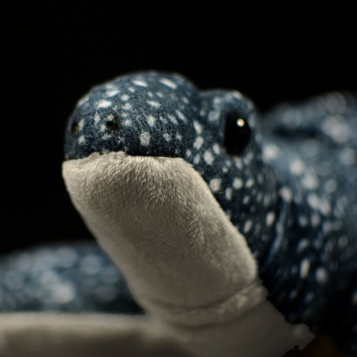 Super soft leatherback turtle plush toy simulation seven leatherback turtle doll lovely swallow turtle doll model gift