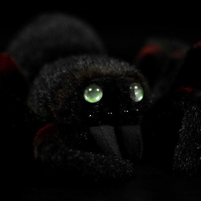 Simulated Mexican bird catching fire spider plush toy spider doll bird catching spider doll simulated animal model gift