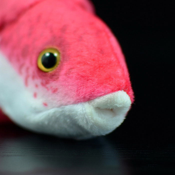Cute tropical fish Cuban tricolor arowana doll simulation Cuban pig fish simulation animal plush toy