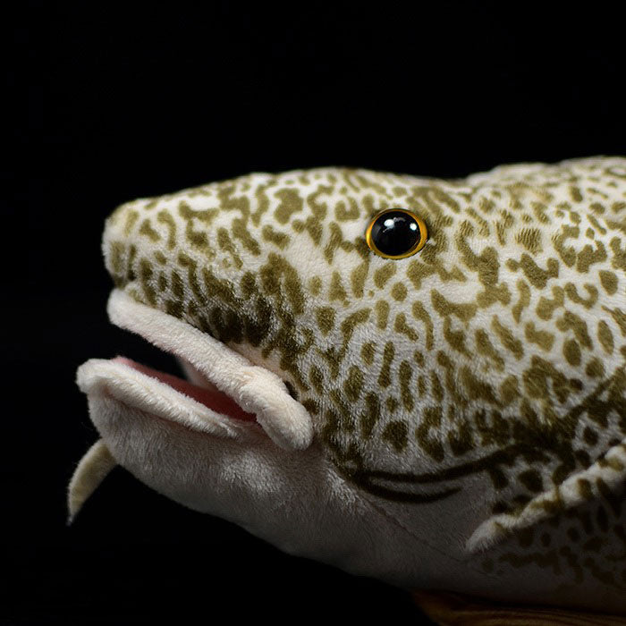Super cute cod plush toy doll cute simulation Pacific cod doll plush toy model gift