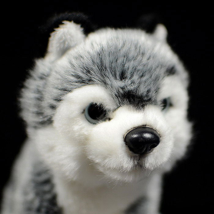 Tail sheet of foreign trade is exported to the United States squat husky dog doll simulation animal plush toy