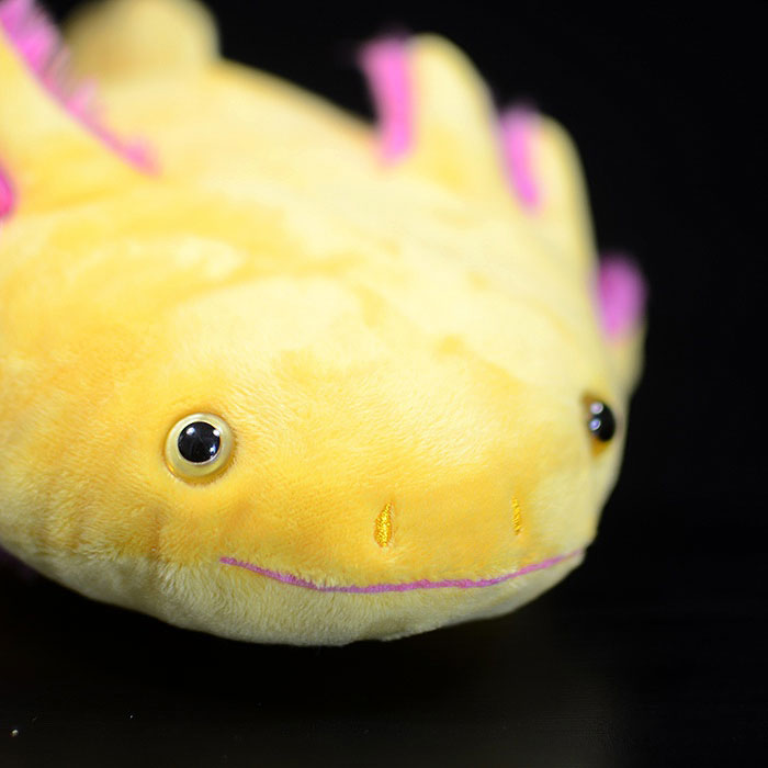 Simulated west American blunt mouth salamander plush toy doll yellow hexagonal dinosaur doll simulated animal plush doll
