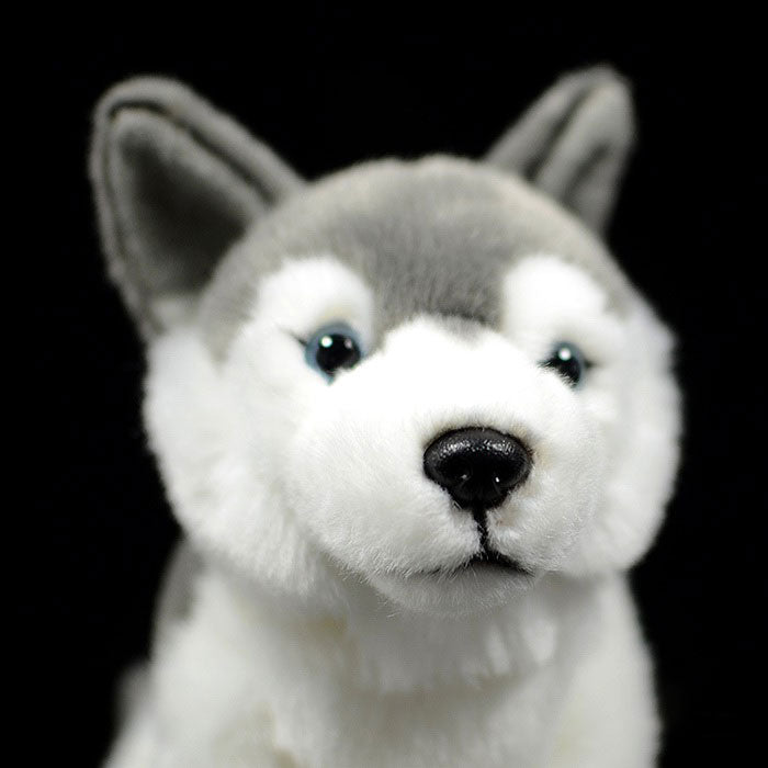 Foreign trade tail order exported to New Zealand squatting husky plush toys lovely dog doll simulation animals