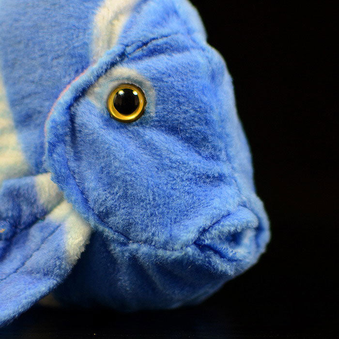 Cute tropical fish Atlantic blue hanging doll simulated blue thorn tail fish simulated animal plush toy