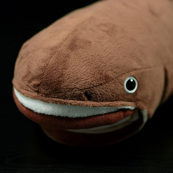 Megachasma pelagios doll simulation megachasma pelagios fish doll simulation animal plush toy model gifts