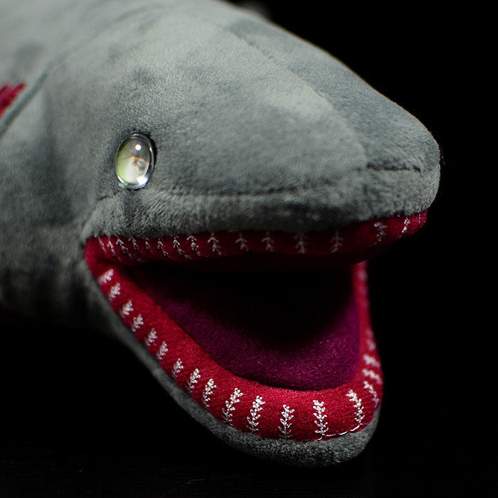 Cute wrinkly shark doll simulation six gill shark doll simulation animal plush toy model gift