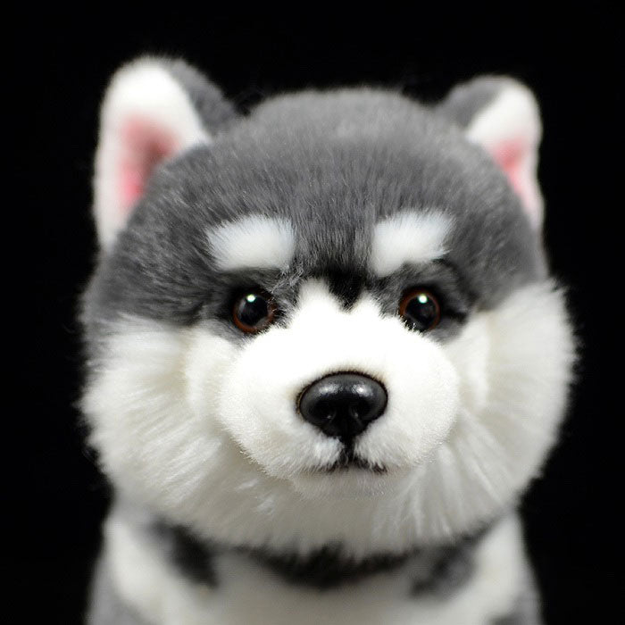 Simulated dog doll gray Alaskan dog doll simulated animal sled dog plush toy model