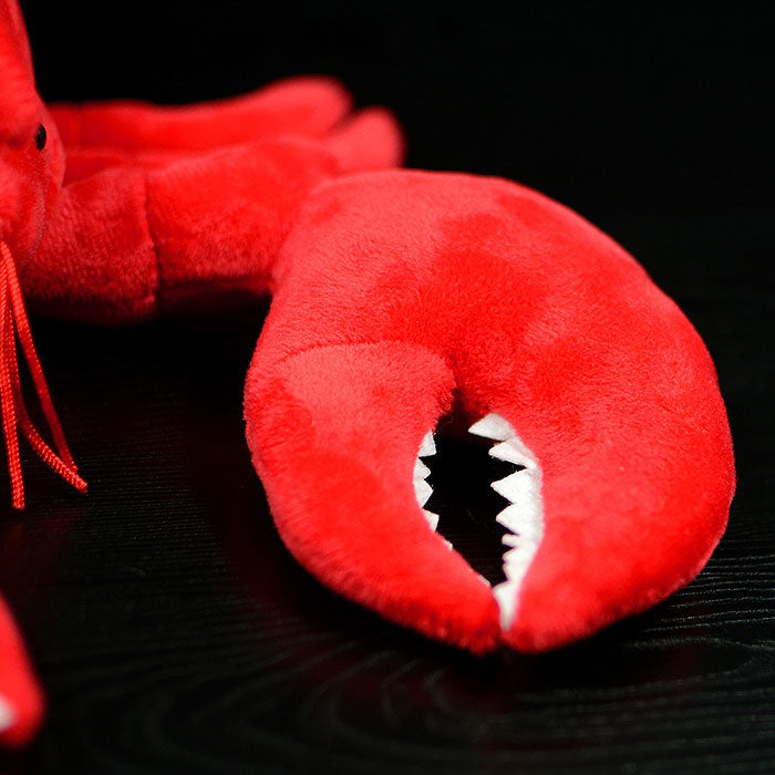 Super cute lobster plush toy doll cute simulation American lobster doll plush toy model gift