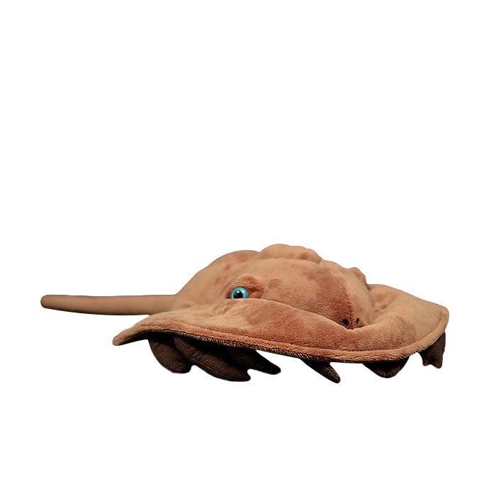 Lovely Chinese Horseshoe Crab doll simulated horseshoe crab doll simulated marine animal plush toy model gift