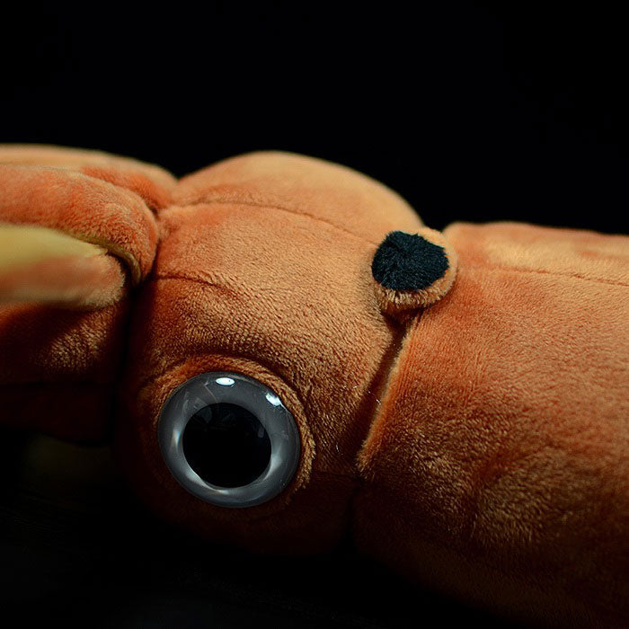 Lovely King squid doll simulation cuttlefish doll simulation animal plush toy model gift