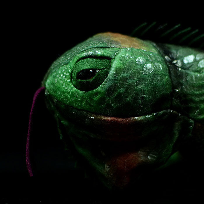 Simulation green iguana lizard doll cute lizard plush toy simulation animal plush toy 66CM