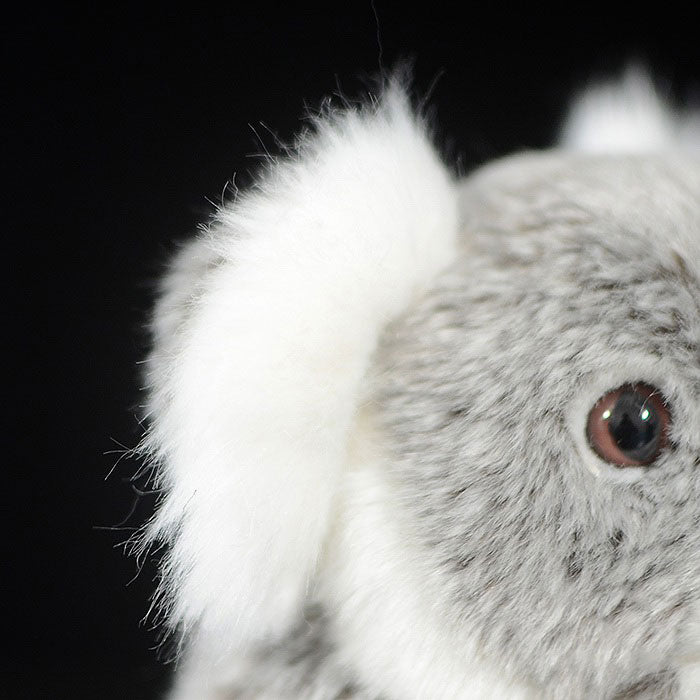Special foreign trade tail orders are exported to Germany to simulate koala plush toys with koala dolls in Australia.