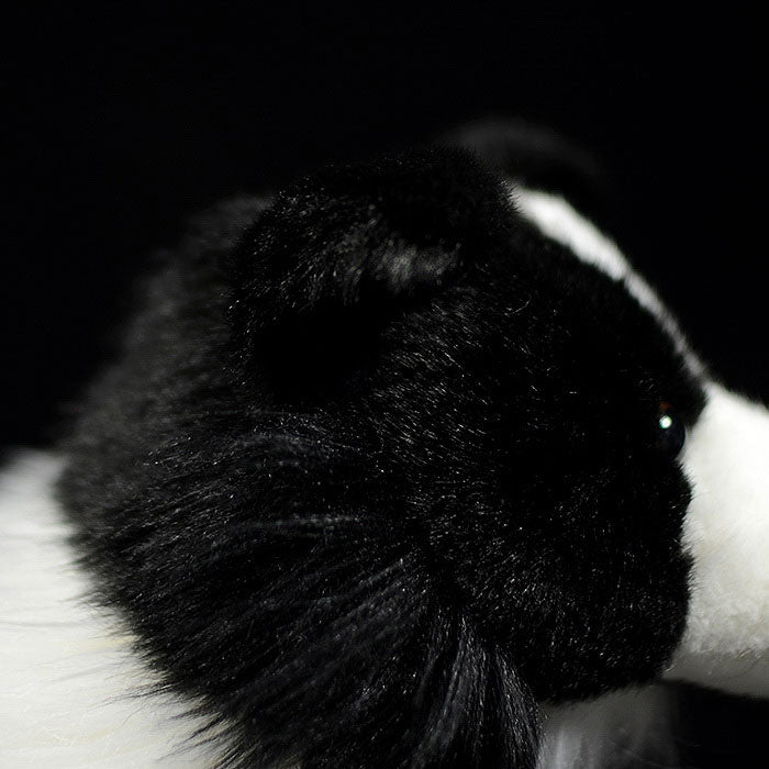 Simulation dog doll cute border collie doll simulation animal plush toy model gift