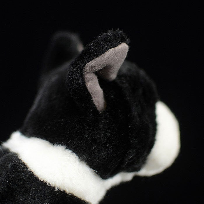 Tail list export New Zealand small black bulldog simulation dog simulation animal plush toys