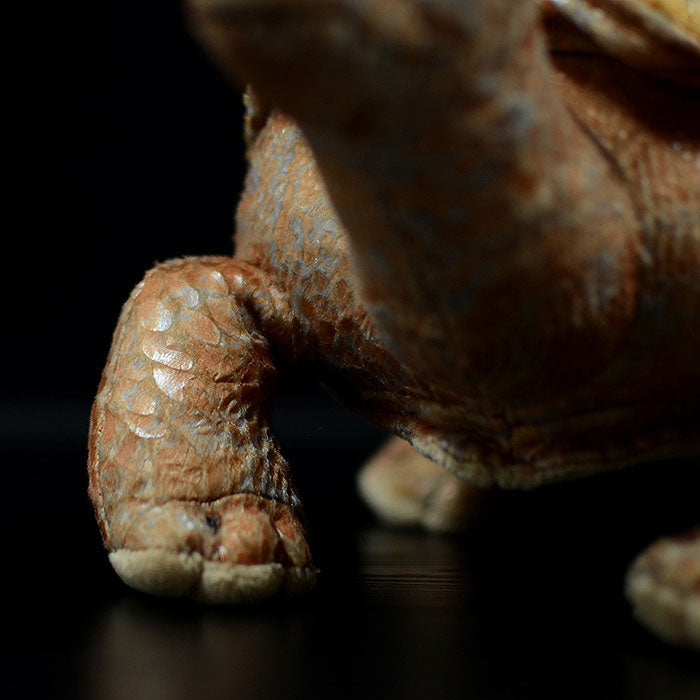 Galapagos tortoise simulation tortoise doll cute tortoise doll simulation animal plush toy
