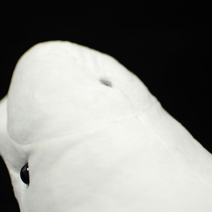 Cute white whale doll simulation white whale doll simulation animal plush toy model gift