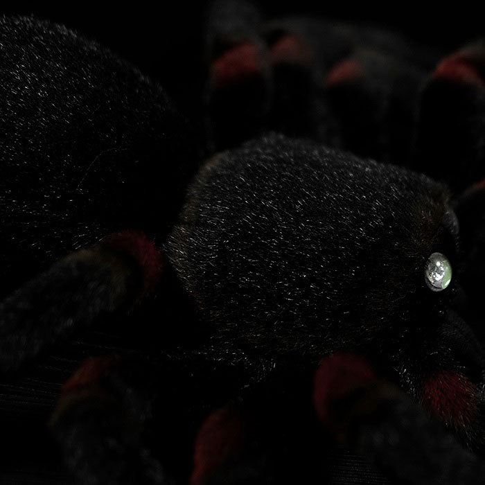 Simulated Mexican bird catching fire spider plush toy spider doll bird catching spider doll simulated animal model gift