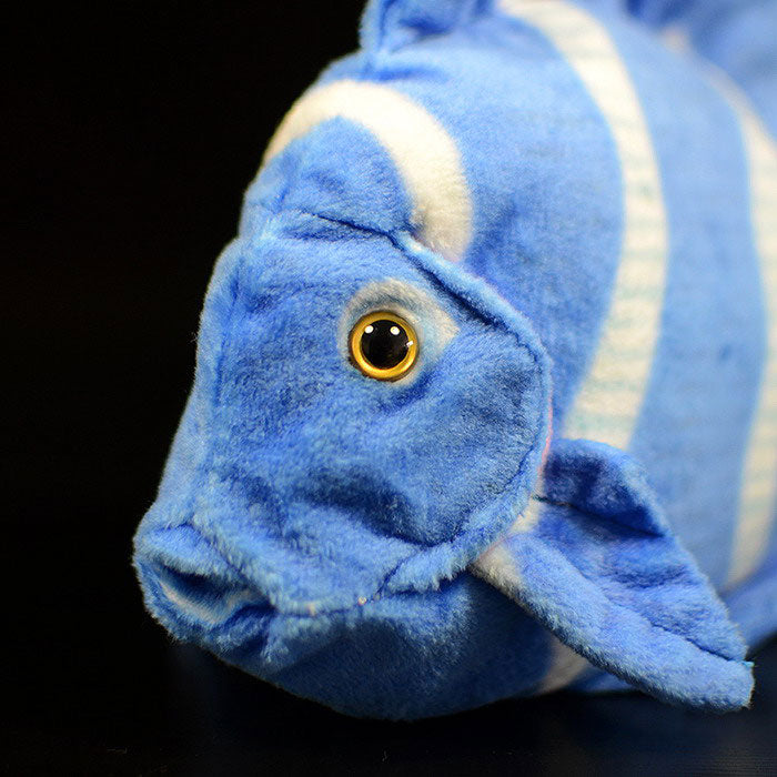 Cute tropical fish Atlantic blue hanging doll simulated blue thorn tail fish simulated animal plush toy