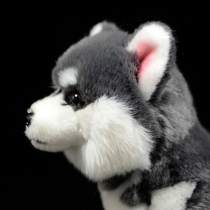 Simulated dog doll gray Alaskan dog doll simulated animal sled dog plush toy model