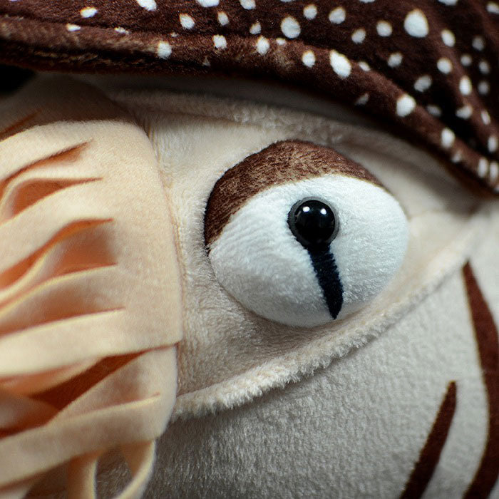 Lovely Nautilus doll simulated pearl Nautilus doll simulated animal plush toy model gift