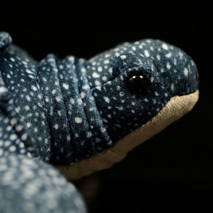 Super soft leatherback turtle plush toy simulation seven leatherback turtle doll lovely swallow turtle doll model gift