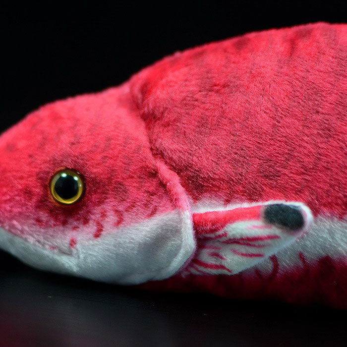 Cute tropical fish Cuban tricolor arowana doll simulation Cuban pig fish simulation animal plush toy