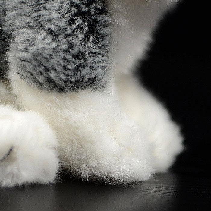 Tail sheet of foreign trade is exported to the United States squat husky dog doll simulation animal plush toy
