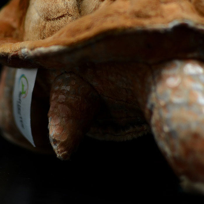 Galapagos tortoise simulation tortoise doll cute tortoise doll simulation animal plush toy