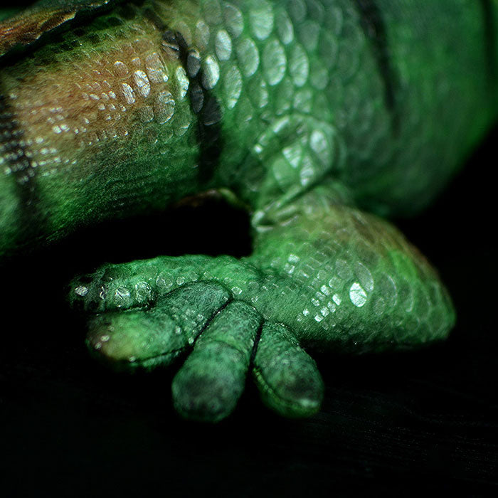 Simulation green iguana lizard doll cute lizard plush toy simulation animal plush toy 66CM