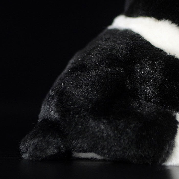 Tail list export New Zealand small black bulldog simulation dog simulation animal plush toys