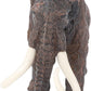 LULEZON Simulated  Asian Elephant Toy Figurine  Realistic African Jungle Animals Model