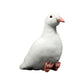 Cute white pigeon simulation rock pigeon doll super cute pigeon doll small carrier pigeon plush toy gift