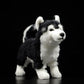 Simulation dog doll Yuanyang Husky doll simulation animal Alaska dog plush toy model
