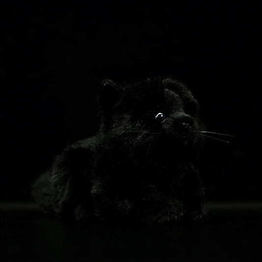 Super pure black cat plush toy doll cute little cat doll simulation cat plush toy