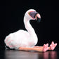 Lovely American red stork super cute flamingo doll simulation red stork plush toy gift gift 21CM