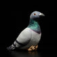 Cute grey pigeon simulation rock pigeon doll super cute pigeon doll small carrier pigeon plush toy gift