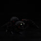 Simulated Mexican bird catching fire spider plush toy spider doll bird catching spider doll simulated animal model gift