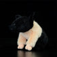 Super cute black pig cute little pig doll simulation pig simulation animal plush toy 20CM